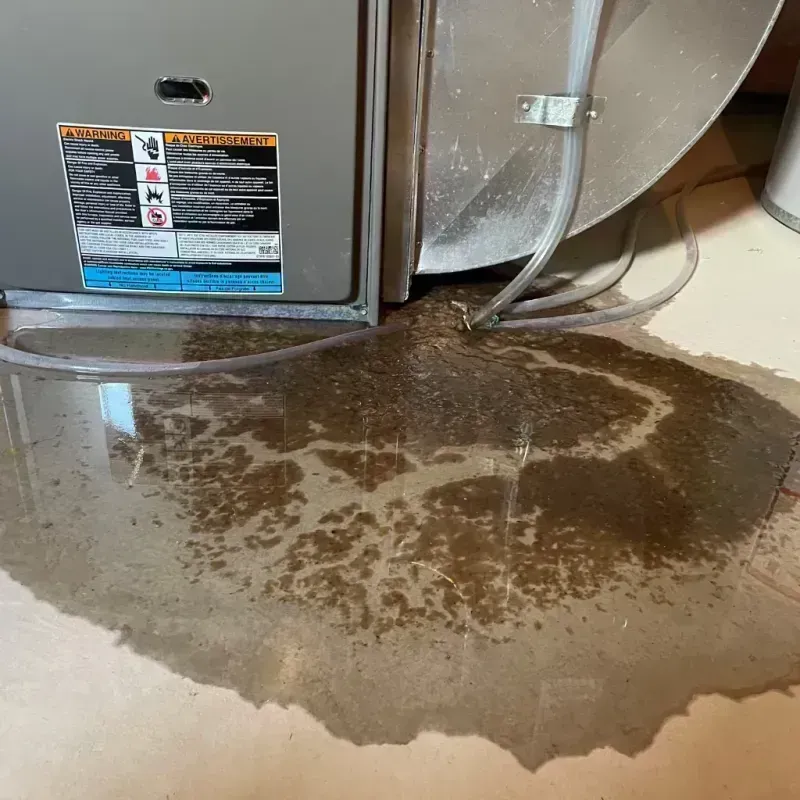 Appliance Leak Cleanup in Vienna, WV